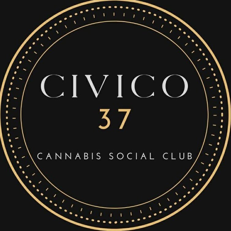 Logo Civico 37